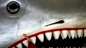 Hiu Jaws Raksasa Mejeng di Museum Oscar