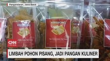 VIDEO: Limbah Pohon Pisang, Jadi Pangan Kuliner