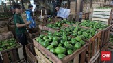 FOTO: Peluang Penjualan Buah Lokal di Tengah Pandemi Corona Permintaan subsektor pertanian pada komoditas hortikultura seperti sayur dan buah segar mengalami peningkatan di tengah corona.
