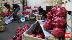 Cara Memilih dan Menyimpan Buah Naga agar Tetap Segar