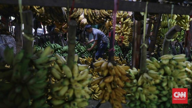 Dirjen Perundingan Perdagangan Internasional Kemendag menyebut Pemerintah Jepang tak pernah mempersulit masuknya pisang dari Indonesia.