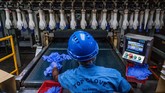 FOTO: Nestapa Pabrik Sarung Tangan Terbesar Dunia saat Corona Top Glove Corp. Malaysia, pembuat sarung tangan karet terbesar dunia harus menutup setengah pabrik mereka karena pekerja terkena dampak corona.