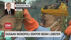 VIDEO: Dugaan Monopoli Eskpor Benih Lobster
