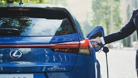 Lexus soal Produksi Mobil di RI: Belum Ada Informasi