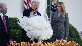 FOTO: Momen Trump Ampuni Kalkun di Tradisi Thanksgiving