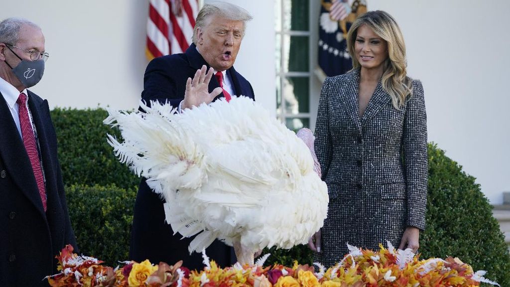 Foto: Momen Trump Ampuni Kalkun Di Tradisi Thanksgiving