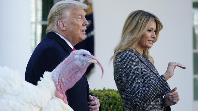 Presiden Amerika Serikat Donald Trump berencana mengampuni mantan penasihat keamanan nasional, Michael Flynn.