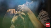 FOTO: Usaha Salon Hewan Tak Sepi Kala Pandemi Tak seperti jenis usaha lainnya yang mengalami penurunan akibat pandemi, bisnis salon hewan tetap tak kehilangan daya tariknya.