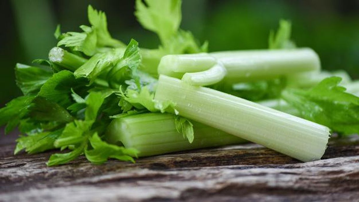 6 Manfaat Daun Seledri, Turunkan Berat Badan Sampai Cegah Kanker