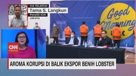 VIDEO: Aroma Korupsi di Balik Ekspor Benih Lobster