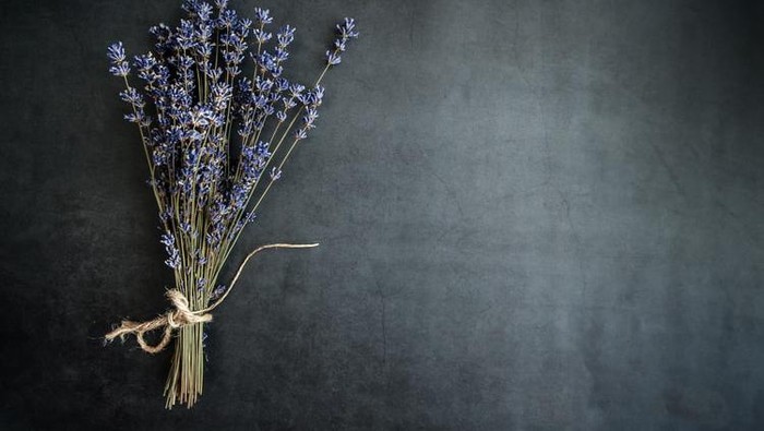Kesulitan Tidur? Cobain 4 Produk Lotion Beraroma Lavender Ini untuk Atasi Insomnia