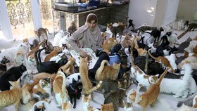 FOTO: Kisah Wanita Oman Hidup Dikelilingi 500 Kucing