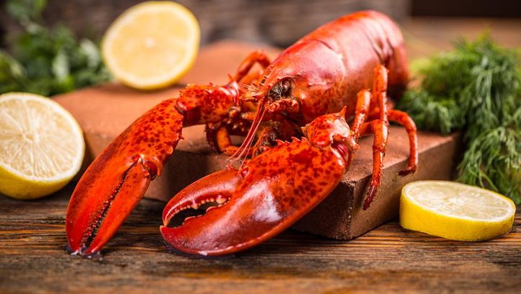 Lobster 5 Fakta Lobster yang Dulu Dianggap Makanan Orang Miskin