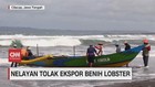 VIDEO: Nelayan Tolak Ekspor Benih Lobster