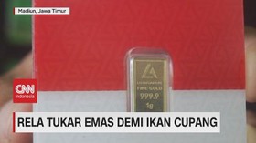 VIDEO: Rela Tukar Emas Demi Ikan Cupang