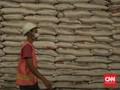 Bulog Punya 413 Ribu Ton Beras Potensi Turun Mutu di Gudang