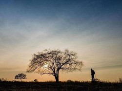 Ini Dia Afrika di Jawa Timur