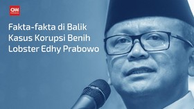 VIDEO: Fakta di Balik Kasus Benih Lobster Edhy Prabowo