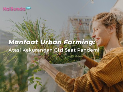 Manfaat Urban Farming: Atasi Kekurangan Gizi Saat Pandemi