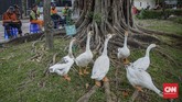 FOTO: Nasi Kuning Pandemi Rp3.000 di Jakarta Seorang pengusaha berinisiatif membuka warung nasi kuning murah Rp3.000,- khusus bagi mereka yang membutuhkan makanan terjangkau selama pandemi.