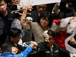 Panas! Anggota DPR Taiwan Lempar Usus dan Jeroan Babi Saat Rapat