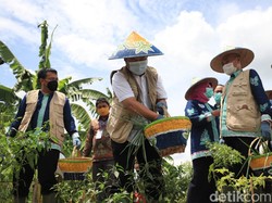 SMKN 5 Jember Ini Lahirkan Inovasi Pertanian dan Kemaritiman