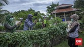 FOTO: Masuk ke Dunia Kelinci di Jakarta Di Taman Kelinci Bambu Apus turis bisa bermain dan mengedukasi diri bersama kawanan kelinci yang menggemaskan.