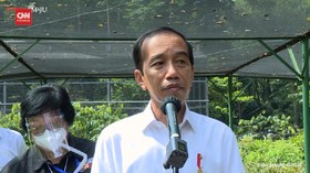 VIDEO: Alasan Presiden Jokowi Bangun Pusat Perbenihan