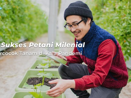 Kisah Sukses Petani Milenial yang Bercocok Tanam di Kala Pandemi