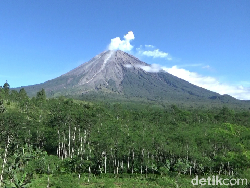 Gunung Semeru Muntahkan Lava Pijar