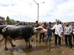 Kementan Ingin Kembangkan Budidaya Hewan di Pasar Tallunglipu