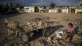 Lembaga HAM Sebut Pemerintah Israel Apartheid
