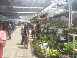 Pasar Tanaman Hias Terbesar se-Indonesia Hadir di Kota Bogor