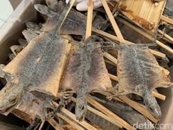 2,9 Ton Tokek Kering dari Jatim Diekspor ke China