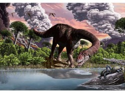 Lalat Ini Bertahan dari Zaman yang Musnahkan Dinosaurus, Umurnya 247 Juta Tahun