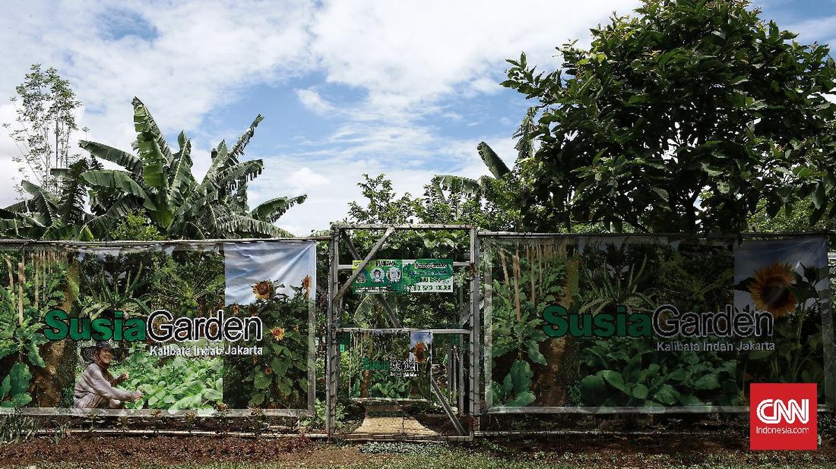 FOTO: Menikmati Hasil Panen Serentak Urban Farming di Jakarta