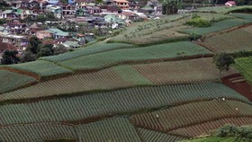 10 Tempat Wisata di Cianjur yang Murah Meriah