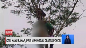 VIDEO: Cari Kayu Bakar, Pria Meninggal di Atas Pohon