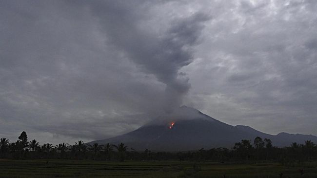 Satu Orang Hilang Saat Proses Evakuasi Gunung Semeru Meletus BNPB menyatakan satu orang diduga hilang saat evakuasi pascaletusan Gunung Semeru di Lumajang, Jawa Timur.