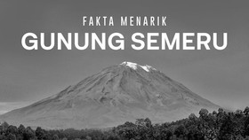 INFOGRAFIS: Fakta Menarik Gunung Semeru