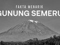 INFOGRAFIS: Fakta Menarik Gunung Semeru
