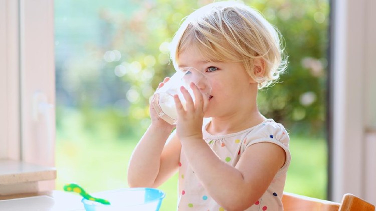 Happy little child, blonde curly toddler girl, enjoying healthy breakfast eating oatmeal porridge and drinking milk sitting in high chair at bright sunny kitchen next to big garden view window