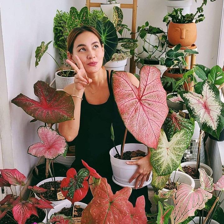 <p>Selain itu, wanita asal Bandung ini juga sekarang sedang hobi merawat tanaman hias lho. (Foto: Instagram @chantaldellaconcetta_)</p>