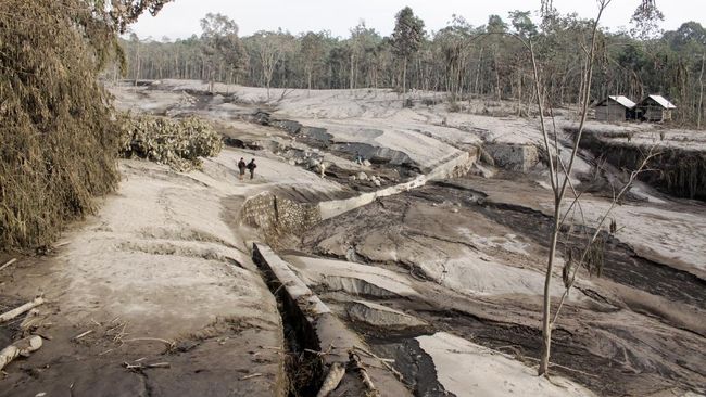 Gunung Semeru Siaga, Warga Diminta Tak Beraktivitas di Besuk Kobokan