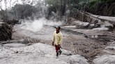 FOTO : Menengok Dampak Erupsi Gunung Semeru Gunung Semeru mengalami erupsi yang menyebabkan awan panas letusan meluncur ke arah Curah Besuk Kobokan sepanjang 11 kilometer.