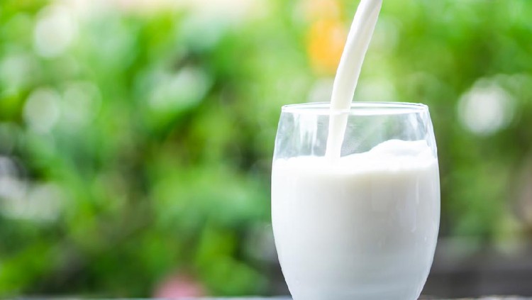 Nutrisi Susu Kuda Liar Mirip ASI, Bisa Tingkatkan Stamina Pria?' Nutrisi Susu Kuda Liar Mirip ASI, Bisa Tingkatkan Stamina Pria?'