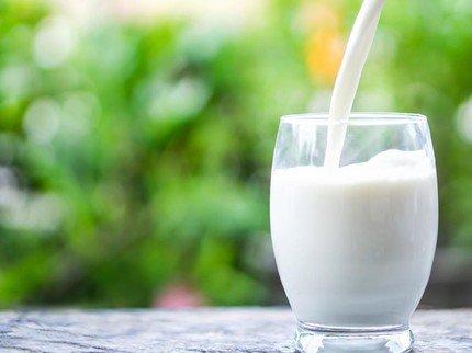 5 Susu Protein yang Cocok untuk Diet Sehat, Rasanya Enak Lho Bun