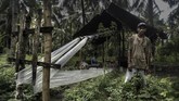 FOTO: Mengenal Sopi, Minuman Beralkohol Warisan Budaya Maluku Maluku memiliki warisan budaya berupa minuman beralkohol tradisional bernama sopi yang terbuat dari air nira kelapa.