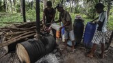 FOTO: Mengenal Sopi, Minuman Beralkohol Warisan Budaya Maluku Maluku memiliki warisan budaya berupa minuman beralkohol tradisional bernama sopi yang terbuat dari air nira kelapa.