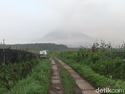 Gunung Semeru Muntahkan Guguran Lava, 103 Pendaki Turun dengan Selamat
